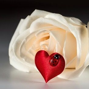 Le début d'une belle histoire... : Jean et Danièle Le début d'une belle histoire... : Jean et Danièle