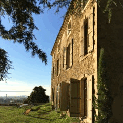 L'art de monter une mayonnaise