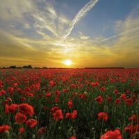 Un témoignage poignant à découvrir sans attendre !