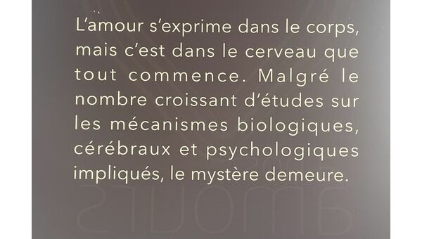 L' Amour : le mystère demeure