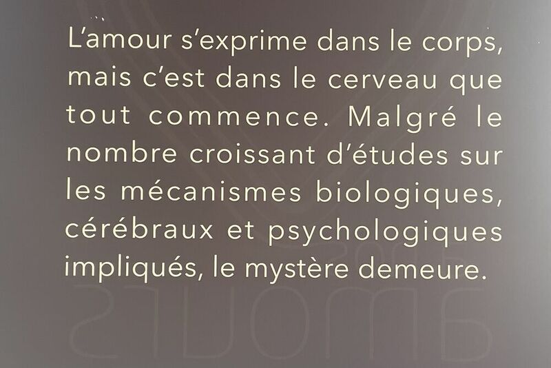 L' Amour : le mystère demeure