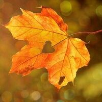 Béatrice et Frédéric