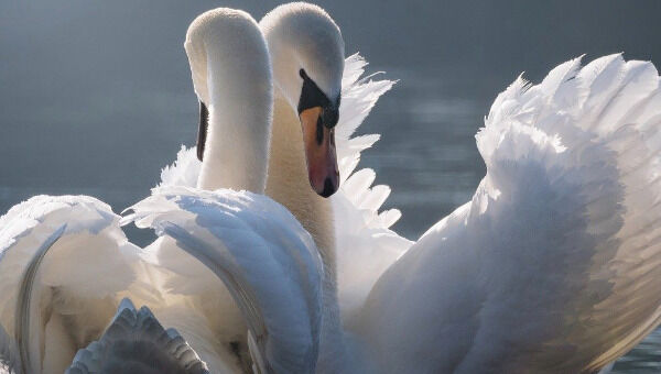 Catherine et Laurent